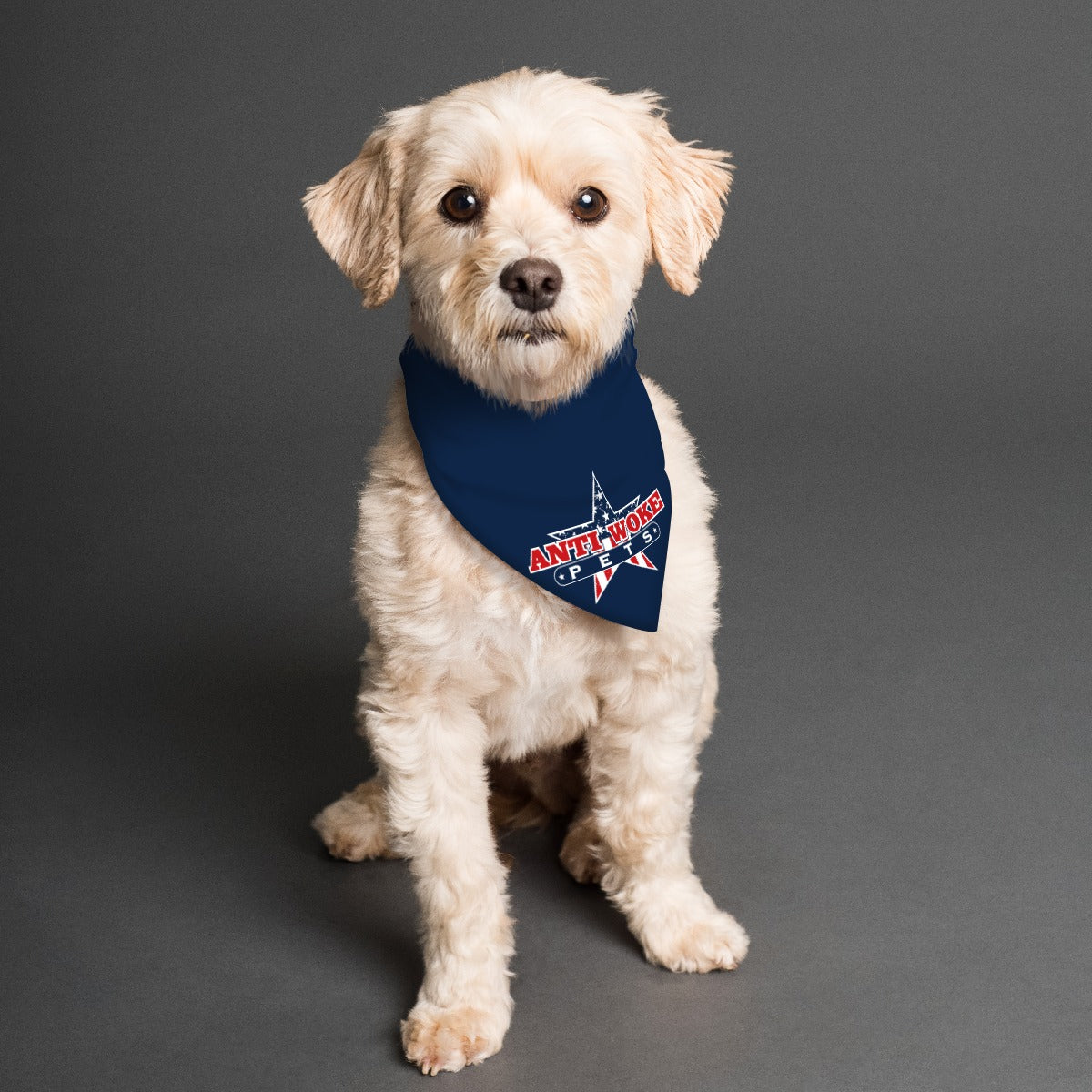 Scarf- Blue- AWP Pet's Scarf